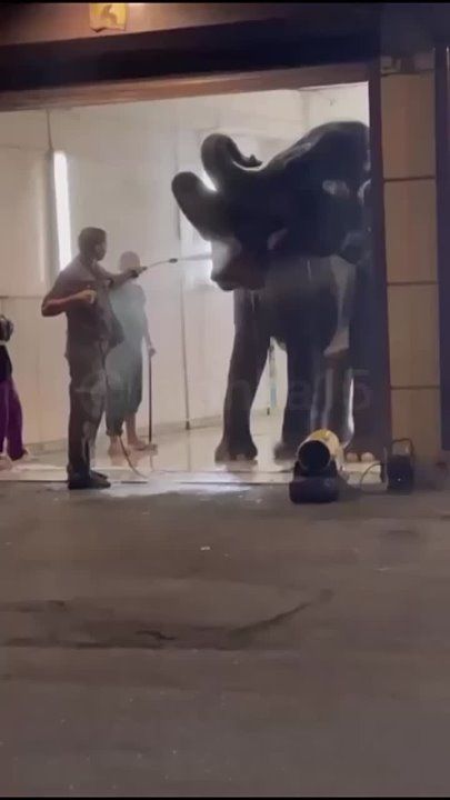 ��������� �������� ���� ��� �������� ������ �� ������������