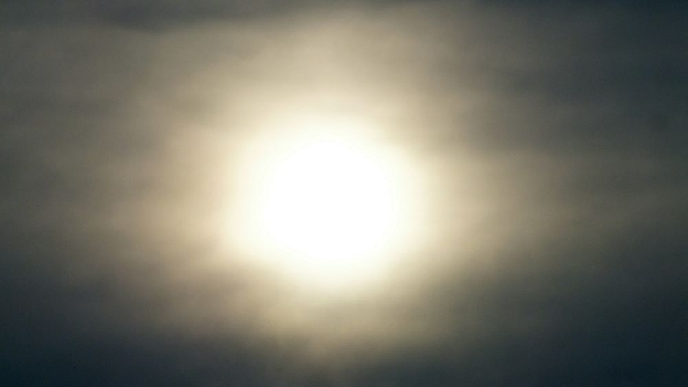 �������� ���� ����������� �� ������������� �������