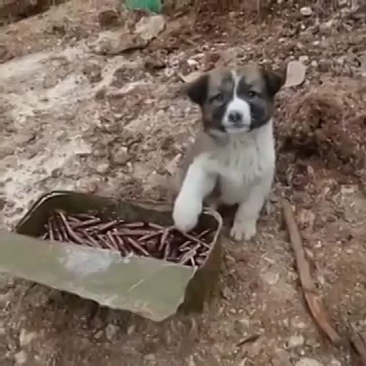���� ������� ���� � ������������ �����������