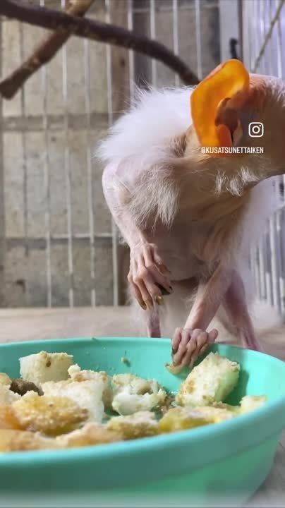����!. ��������� ��������!! �������������� ��