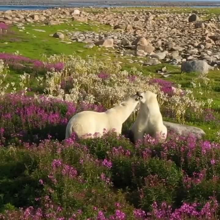 ����� ����� �������� � ������ ��� �������� ������ ���-��� ����, �� ������� ��������� �������� ����� �������� ��������� ������ ���������