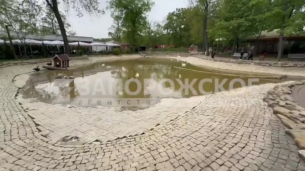 � ����� �������� ����� ������������� ����