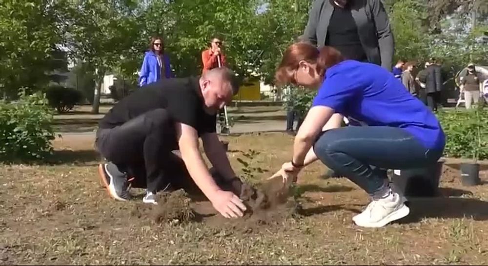 ������ ��������: ������� � ���������� ����������� �� ���������� ������������ ����������, ������������ � ������ � ����� ������, ����������� � ��������� �� ����������� � ����������� ����� ������ ������ ����� ������� � �������������