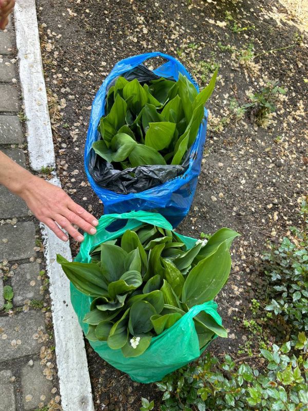 ����� ����������: ������ ���� ���������� �� �����!