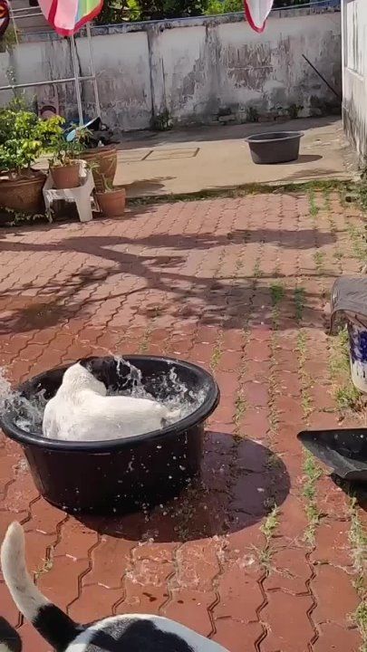 ������ ����, ������!. ����� �����������! �������������� ��