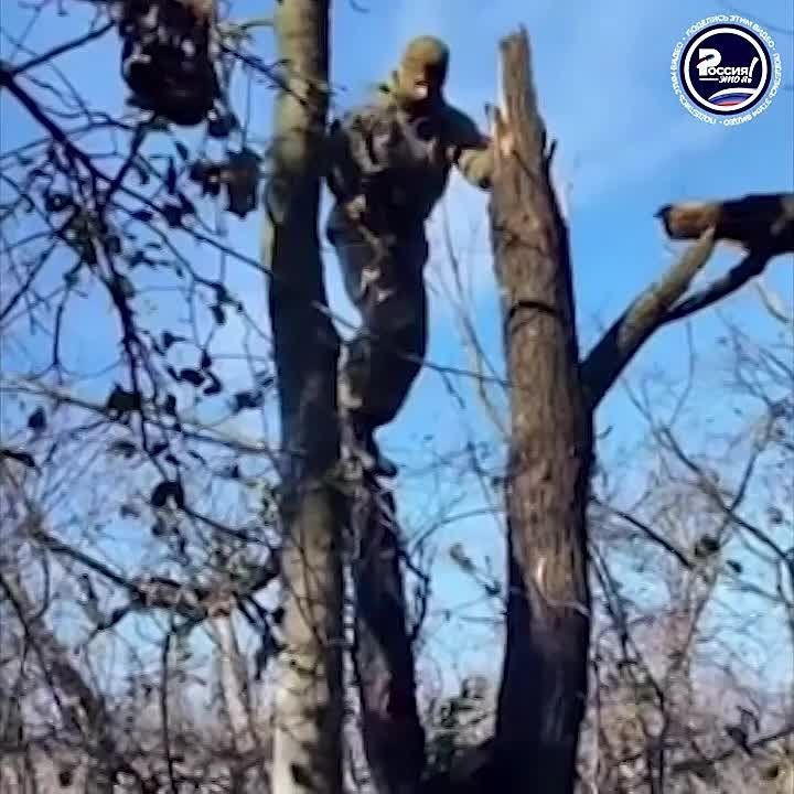 ���������� ������� ������ ���� � ���� ���