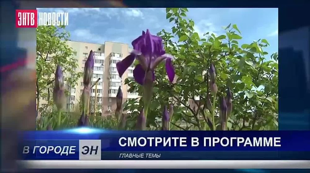 ����� ������ ������� ������������ ��������� � ����� ���������� � ������������ �� ������ �ͻ