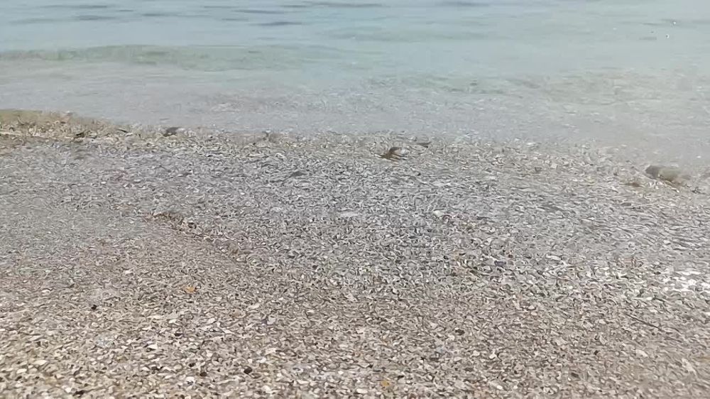 ���� ������� ������ ������! � �������� ��������� ��������� �����!
