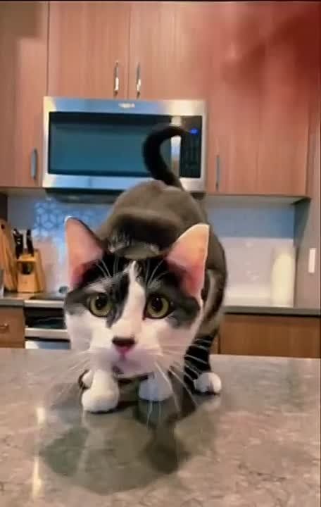 � ����������� ������� ����� � �����