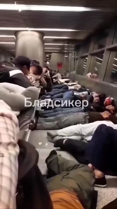 � ���������� ������ ���������� ������� ���������� �� ����� ���������