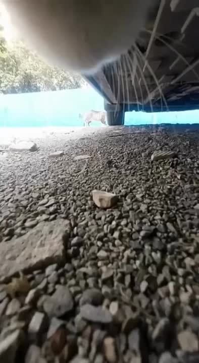 ���������� �� ������� ����: ������� ����� �� ������, ���� ����� ������ �������