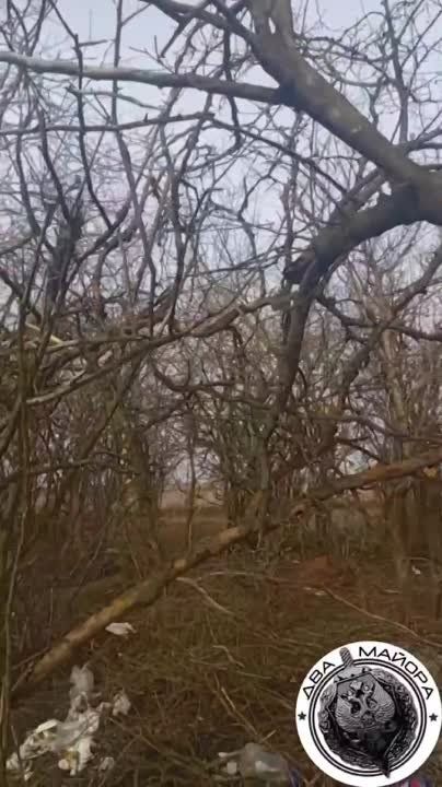 ��� ������: ����������� �����. ���� ����������� ������� ���� �� ����������. ��������� �� ����� �����������