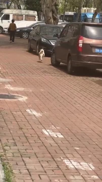 ����� ���������� �� �� �����