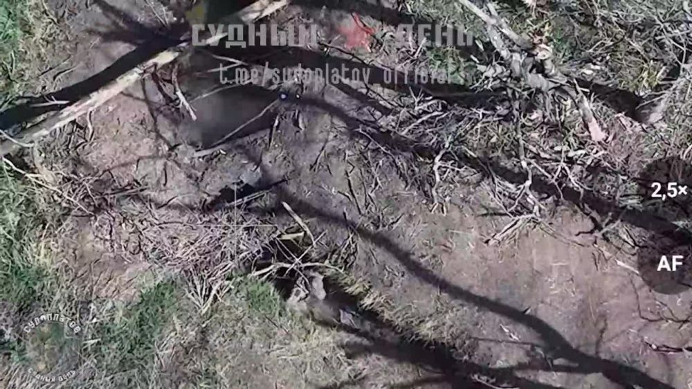 ����� ����� ������ FPV ������� "�����������" �������-��������� ���-40� �� ������� � �������� �����