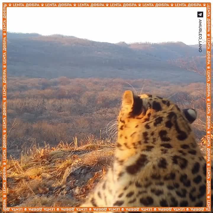 ���������� ��������������� ������� ������������ ����� ������������