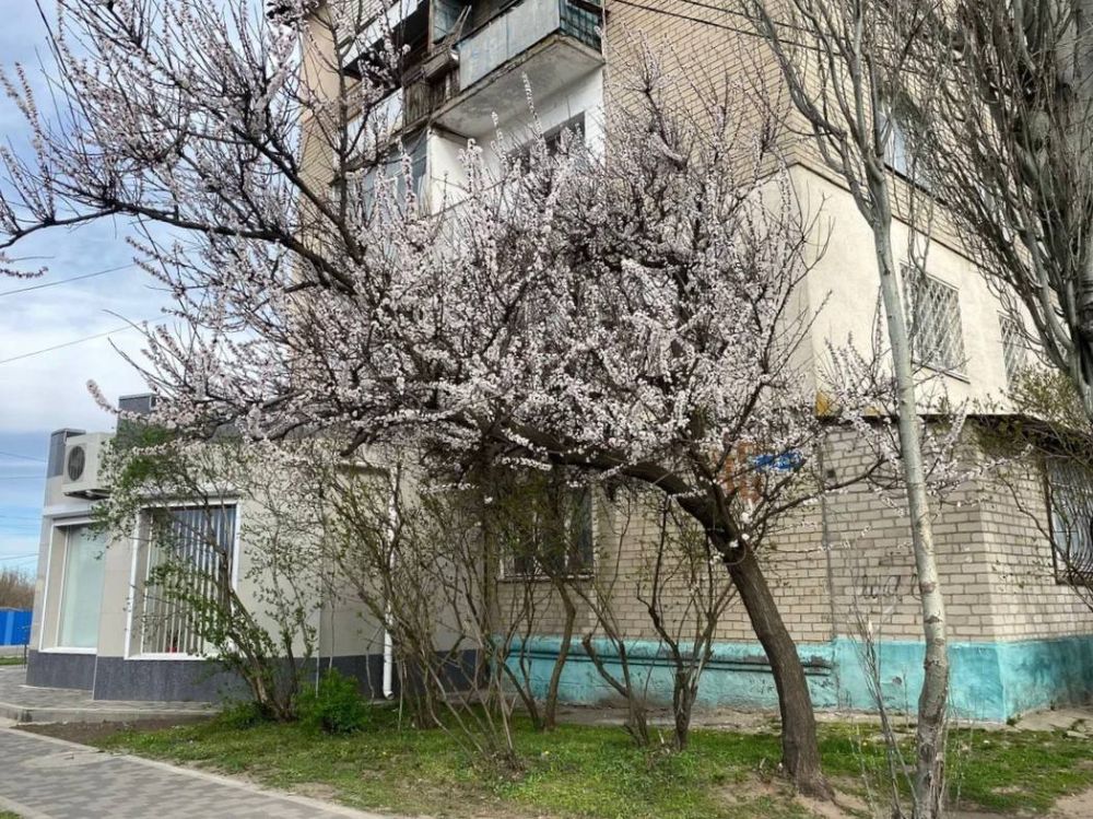 � ���������� ����� �������� ����