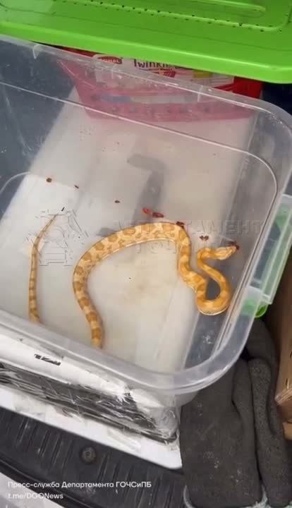 ���� ��������� ������ ���������� � ������ �������