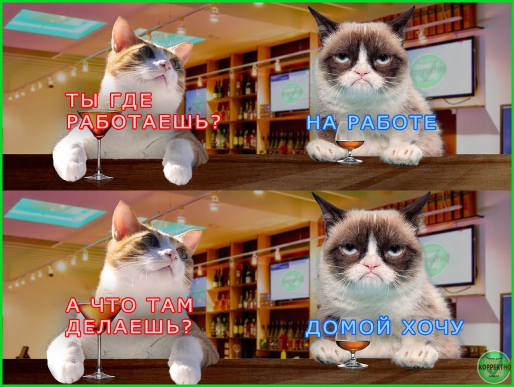 ���������������� ��������� � ���