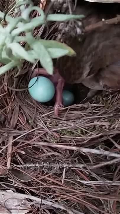 ��������� ����������� ����������� �� ������ ������ ����