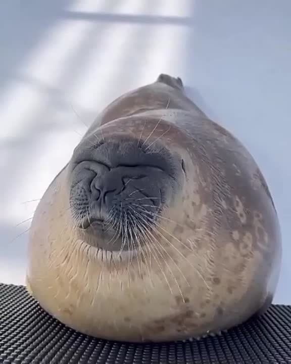 ����� ��������� �����.. �������������� ��