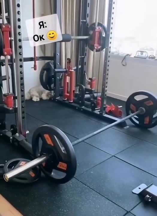 ���������, ������ ��������� �� �����