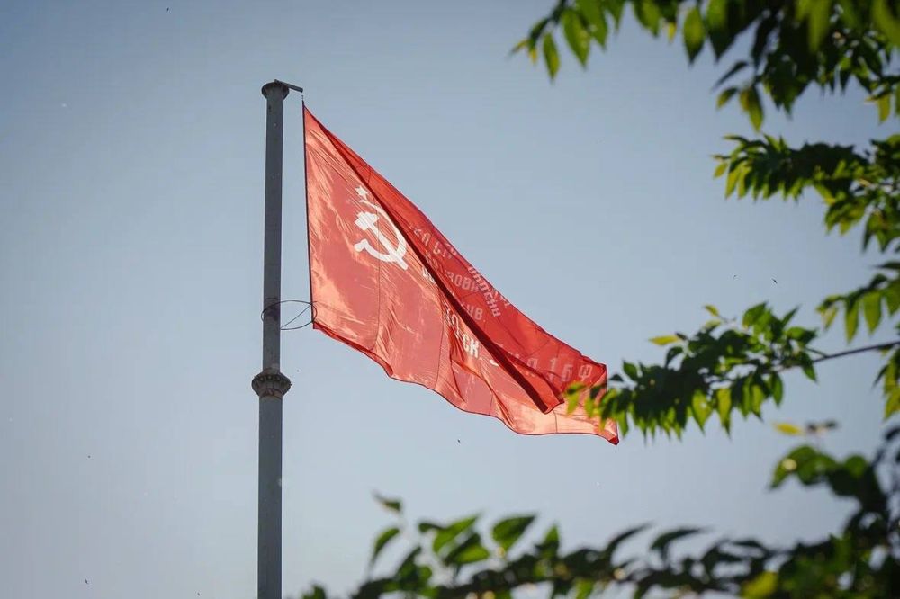 ������ �����������: ������� � ���������� �� ����������� ��������� ��������� ����� ������