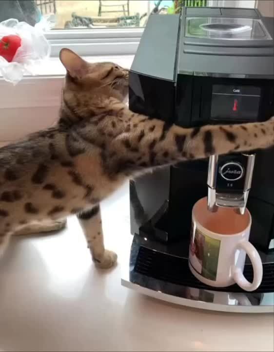 �� �� ��, ����� �� ����� ���� � ����