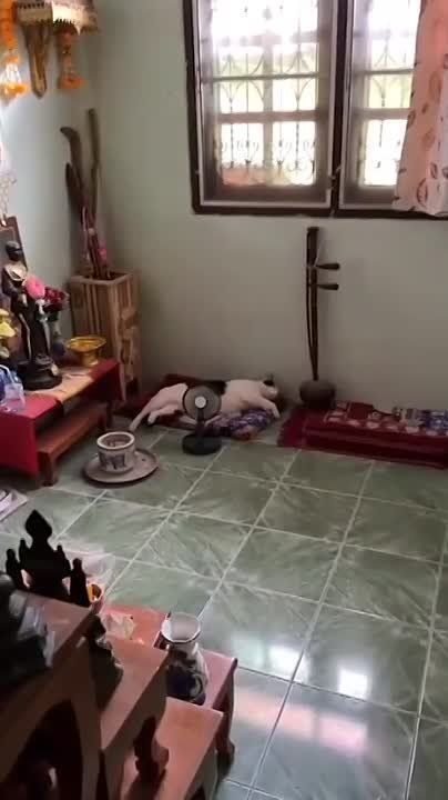 ��������� ����!
