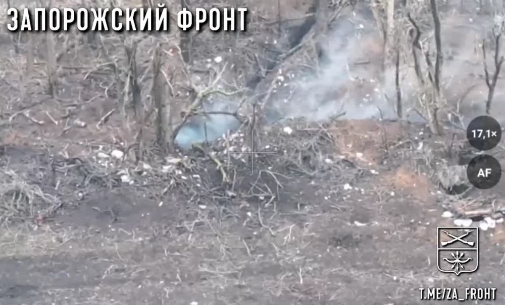 ����� ������ ������ 7-� ��� ��� �� ����������� ������� ���������� �� ����������� ����������� ����� �������� � �������� � ������� ��������� fpv-����� "������" �� ������������� �������� "����� ���� ������"