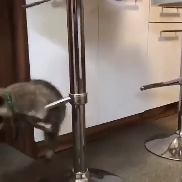 ������ ����, ������! �������� ��� ��� � ��������� ����������!