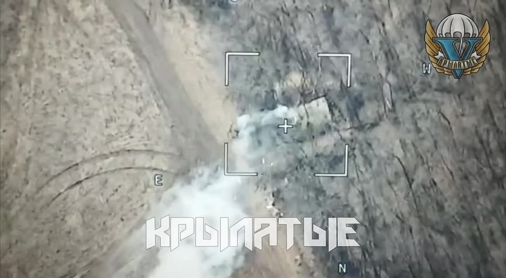 ����� �����: ����������� �����������