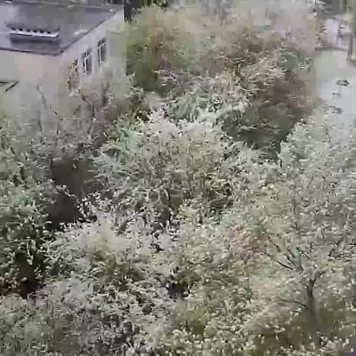 ����� ����� ������ � ������ ���, ����� �������� ������ ���� ����