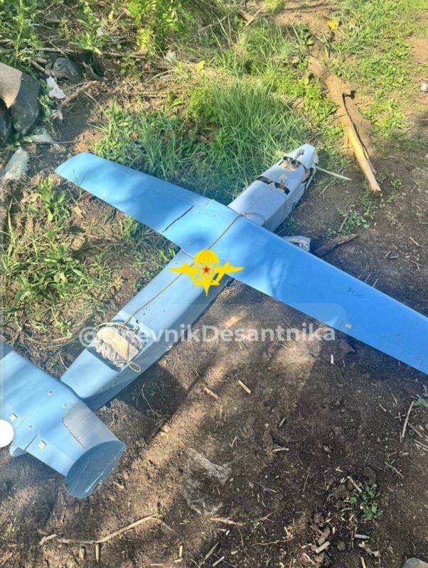 ����� �����: ������ ����������� ��� ���� ���������� ������� � ������ �����