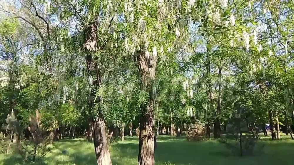 �� ������ ���������� ���������� ������ ������� ������ � � ������ ������� ������