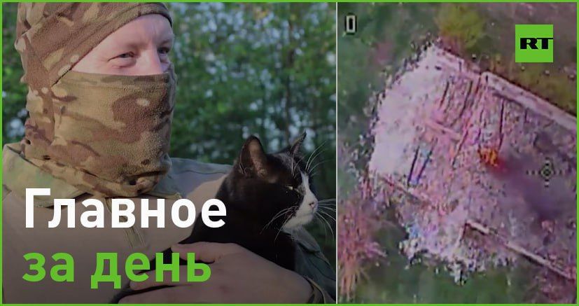 3 ���:. � �������� �������� �������� RT ����� ������� @vandrytsa � ������������ ����������� � ������ ������������� ����� � �...