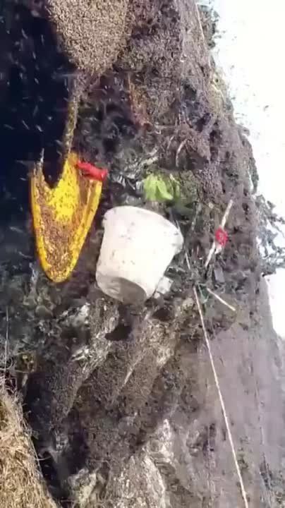 ��� �������� ��������� �� ����� ������� � ���� ����, ��������� �� ����������� ������