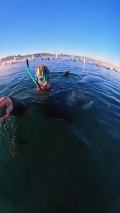 ��������� ����� ���������� ��������� � ������ � ������� � ���