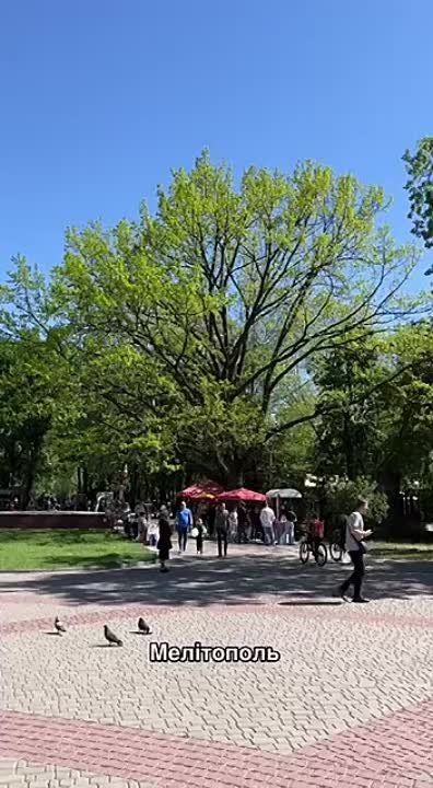 ��������� �������: ������ ����� ������������� ���������� (����������� �������)