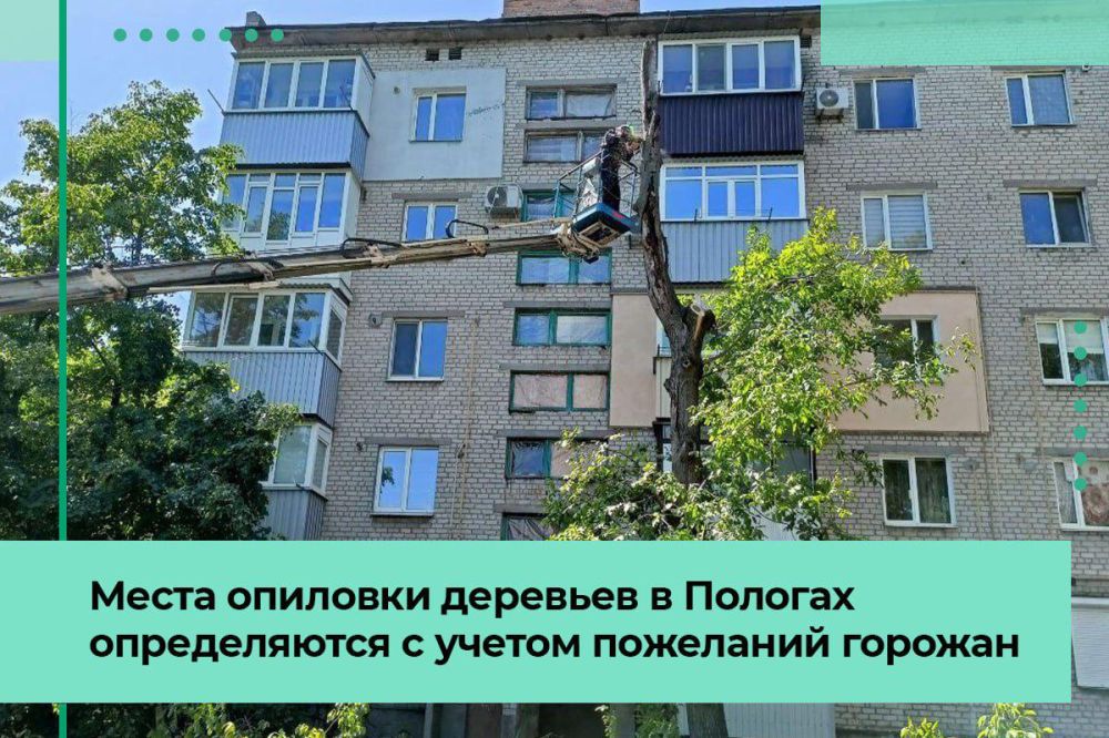 Места опиловки аварийных деревьев в Пологах определяют с учетом обращений жителей