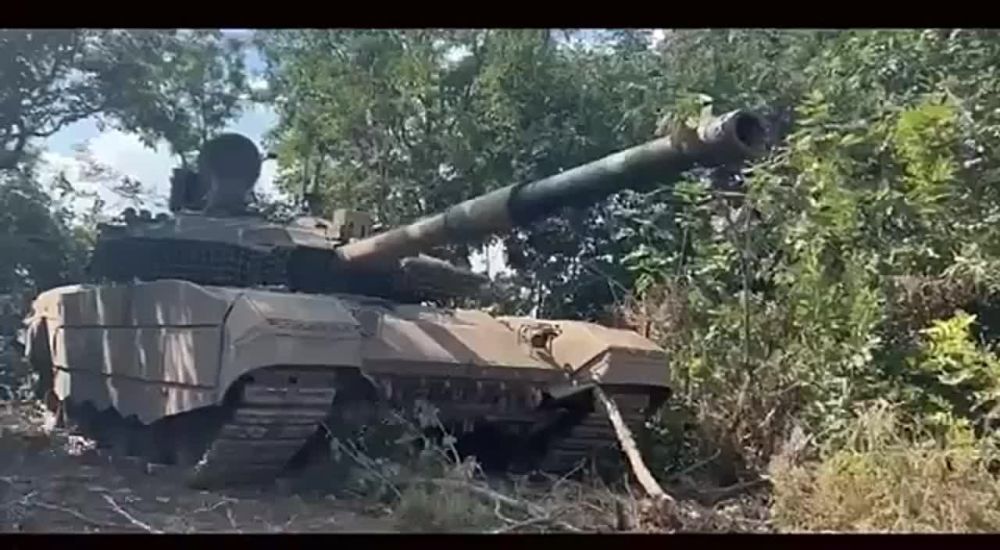 ������ ������ - ������!