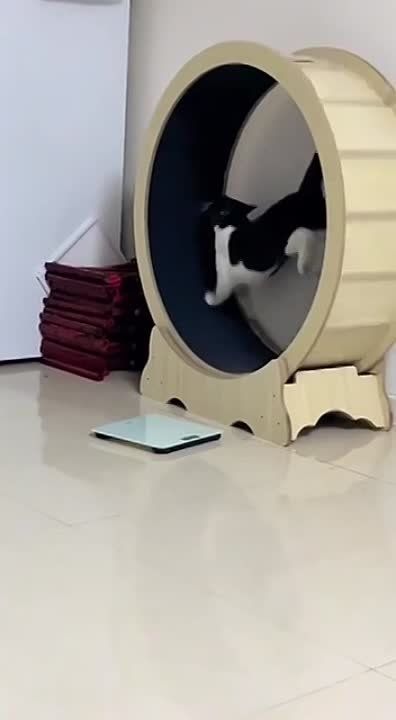 ��� ������� ������� ����� � ������� ������