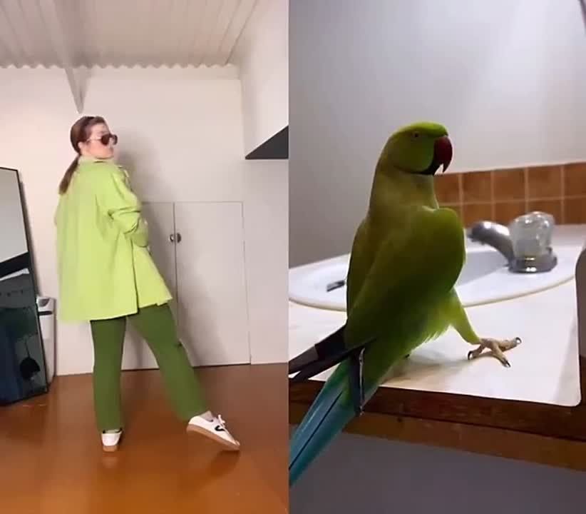 ����� � ������ ������ ���������� ����!