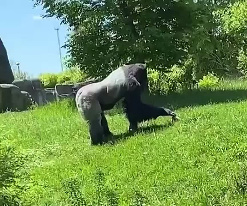 ������ ���: � �������� �������� ����� ������� ����� 180 �� ����� ��������� �����