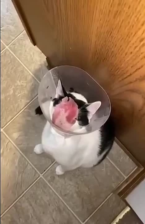 ����!. ��������� ��������!! �������������� ��