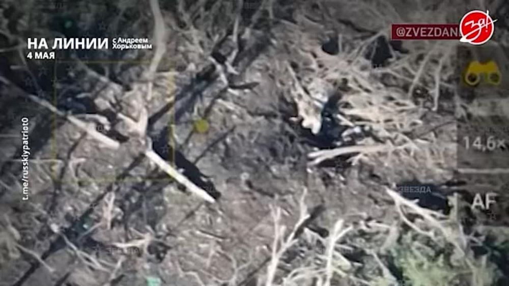 ��������� ���������� �� ������ ������ � ������� ��������� � ��������� ��� ����� | 4 ���