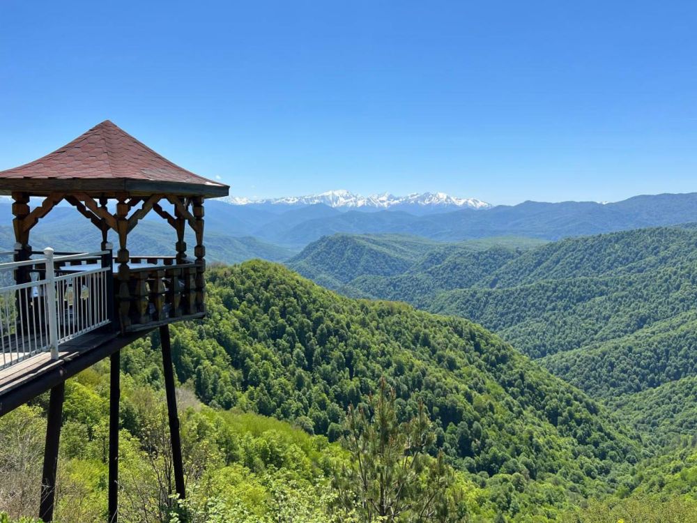 ������� �����: � ��� ����� ������������ �������������� �������� ��������� � ���������� ������ ������������ � �����������...