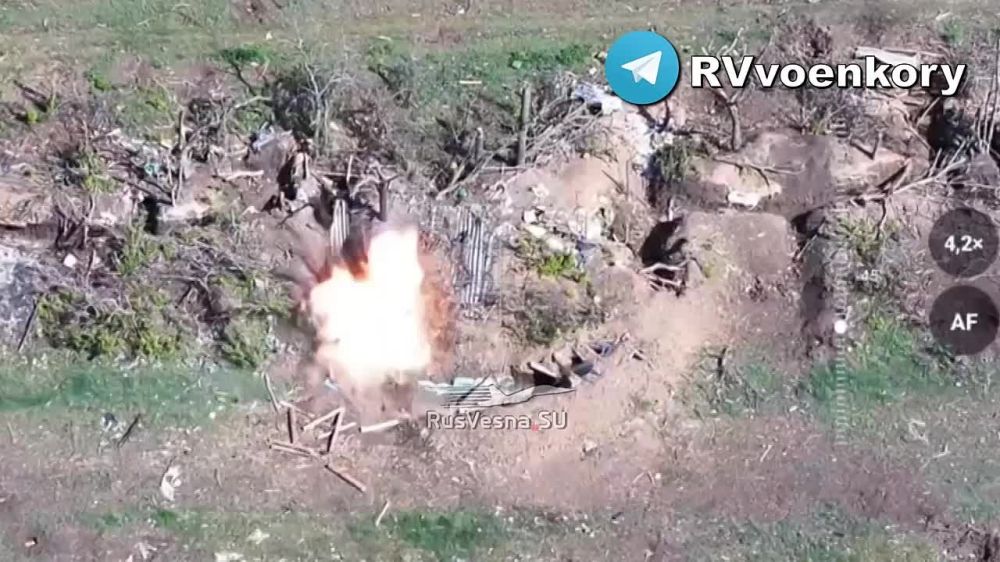 ����� ��������: 291 ���� ���������� ������� � ������ ����� � ��������