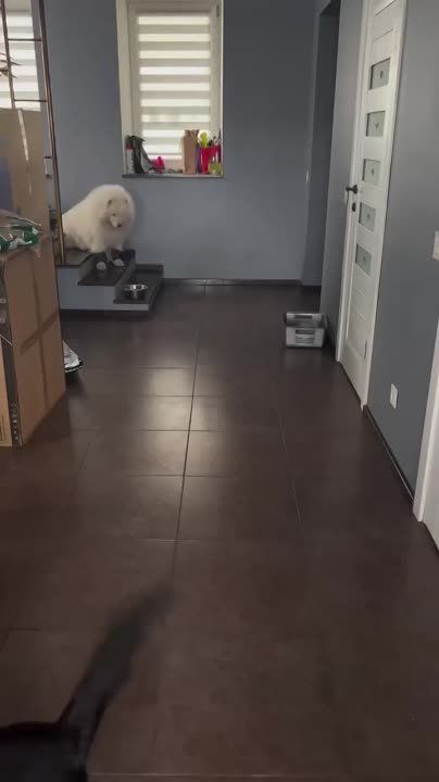 ��� ����� �������� �����, � ����� ������ �� �� ���� ������