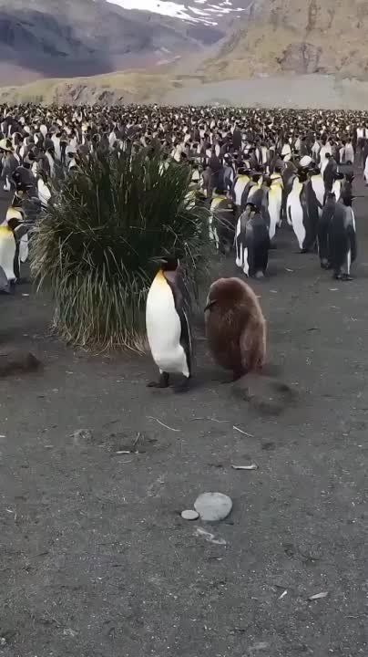����������� ������� � ��� ������ ����, ���������� ���� �� ������� �� ������, � ���������