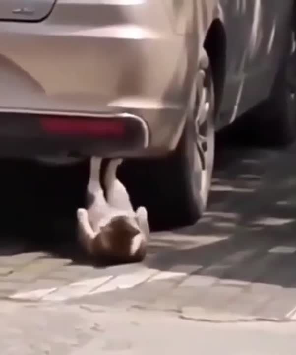 �� ���, ������ ���� � �������
